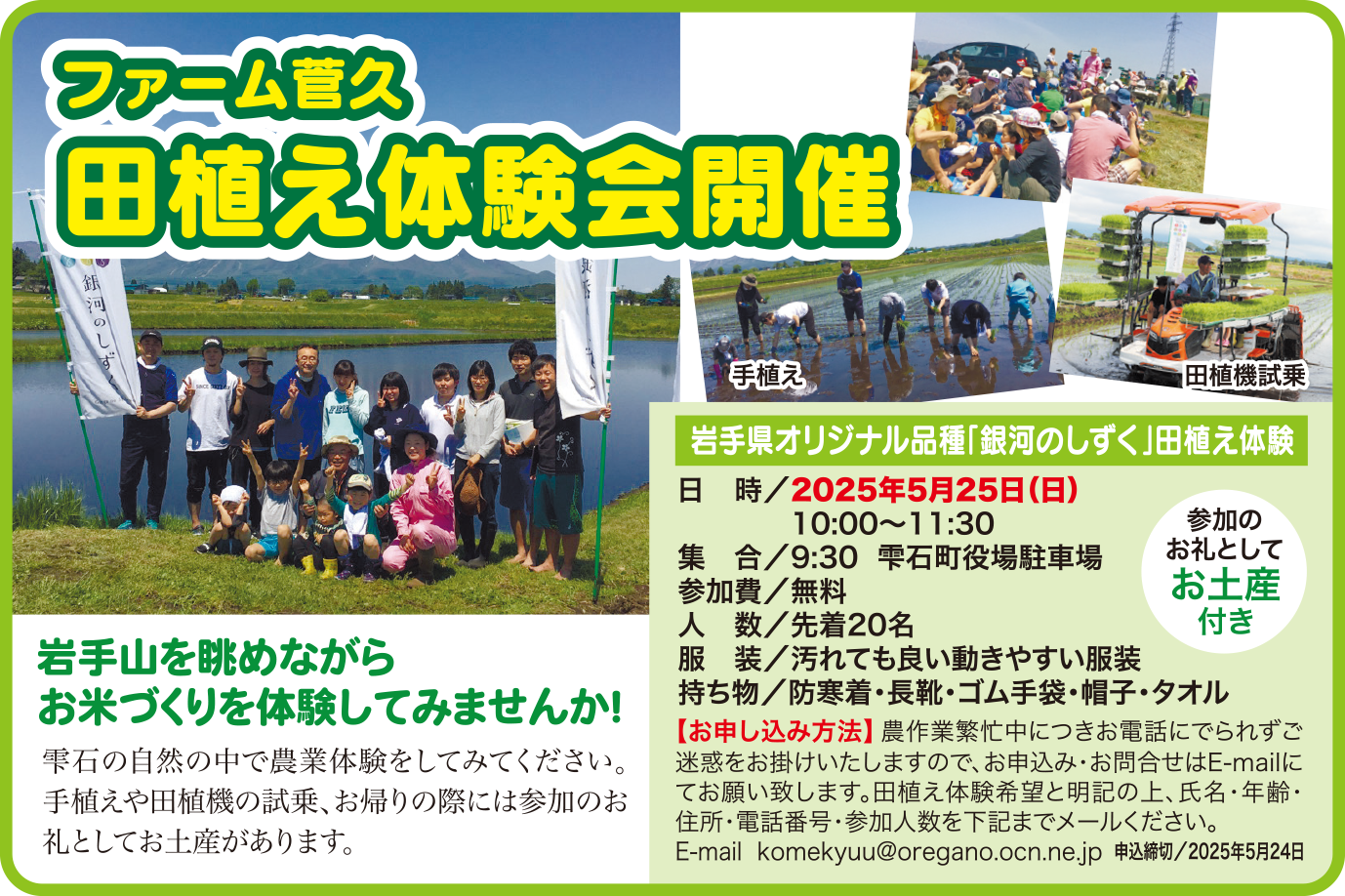 田植え体験